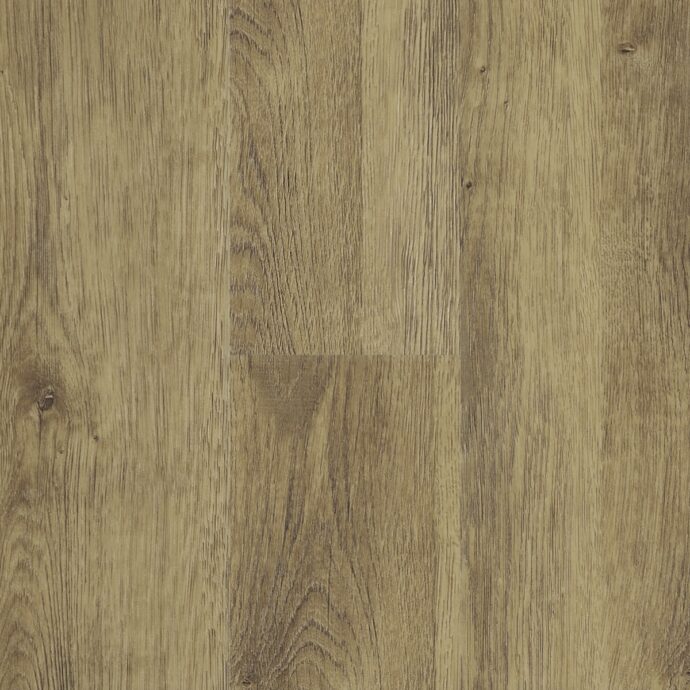 Carpenters Oak