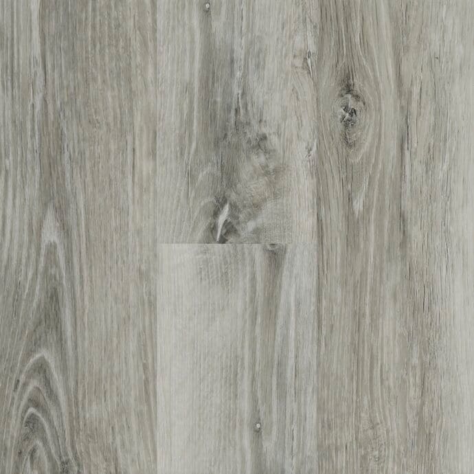 Glacier Oak